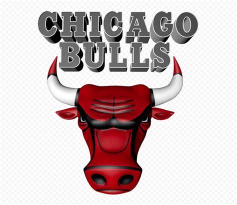 Chicago Bulls 3D Logo PNG | Citypng