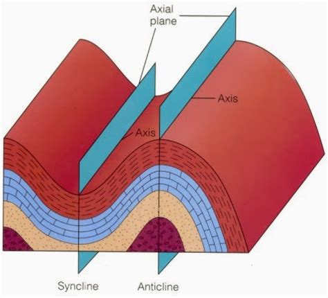 Anticline Diagram - Wiring Diagram Pictures