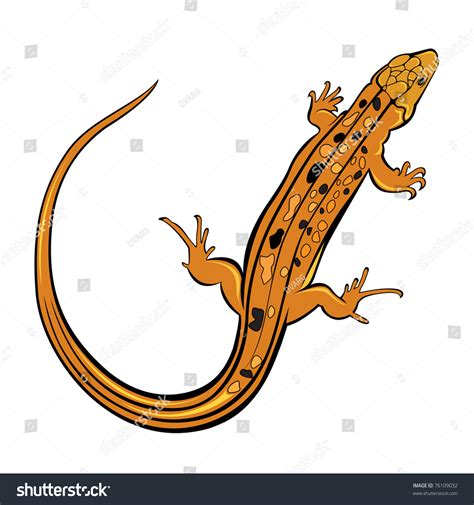 Realistic Gecko Lizard. Illustration On White Background For Design ...