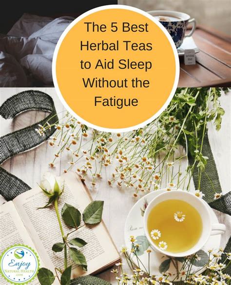 5 Best Herbal Teas to Help You Sleep Without the Fatigue - Enjoy ...