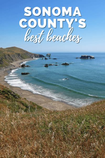 9 Best Sonoma County Beaches