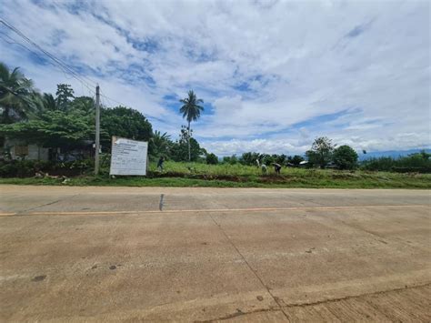 658sqm Commercial Lot Along Hiway Near Bukidnon Airport In Don Carlos ...