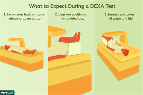 DEXA Scan: Uses, Procedure, Results