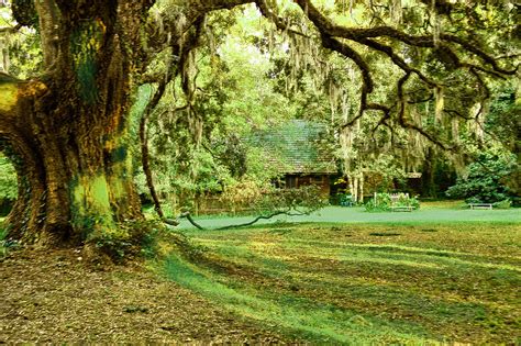 A Cabin Deep in the Woods Photograph by Frank Feliciano - Fine Art America