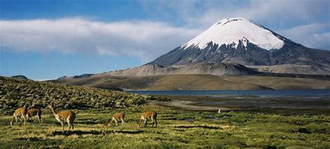 Western Cordillera - Canadian Landform Region's