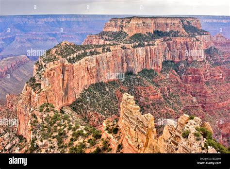 Wotan's Throne, Grand Canyon North Rim Stock Photo - Alamy