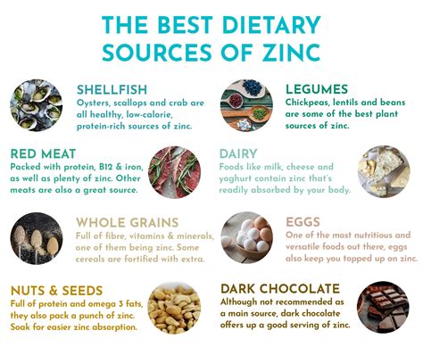 What are the best sources of zinc? – Your Supplements