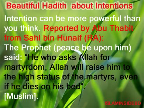 Islam Inside: Beautiful Islamic Quotes |Today's Hadith