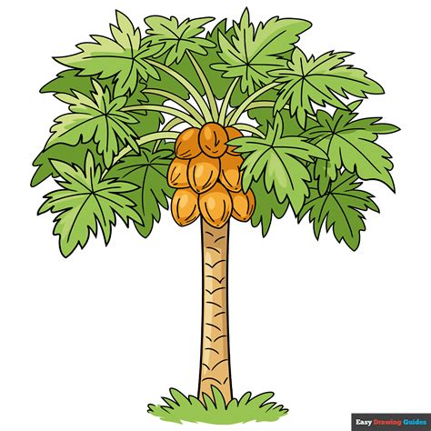 Papaya Tree Drawing For Kids