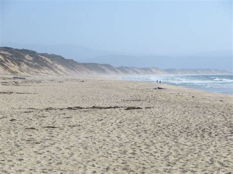 Marina State Beach, Marina, CA - California Beaches