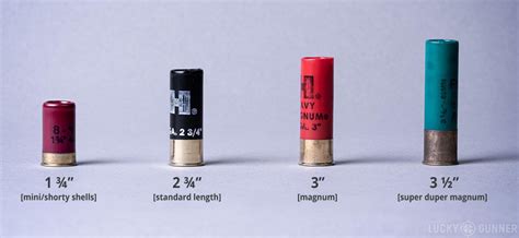 Pin on Ammo/Reloads