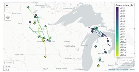 Locations of all marked swans are regularly uploaded to a project... | Download Scientific Diagram