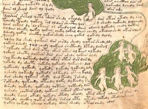 Decoded voynich manuscript - tewsamber