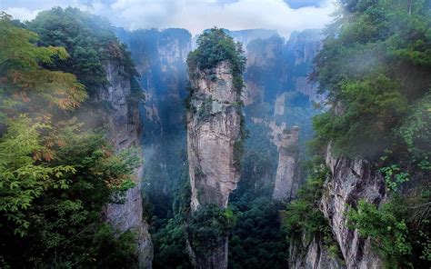 Download Cliff China Tree Nature Zhangjiajie National Forest Park HD ...