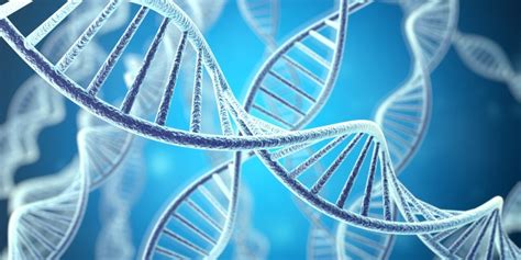 Choosing Reference Standards for Molecular Assay Development | Clinical Lab Products