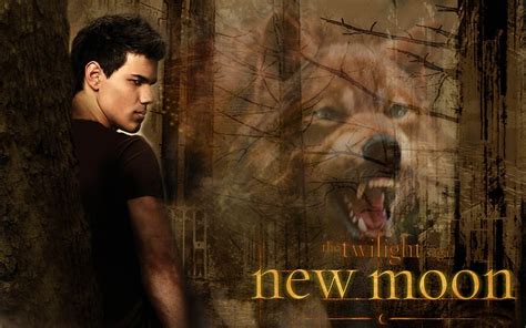 Jacob Twilight New Moon Wallpapers - Wallpaper Cave