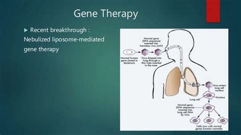 Gene therapy for the treatment of cystic fibrosis