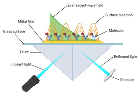 Surface Plasmon Resonance Spectroscopy - Rapid Novor