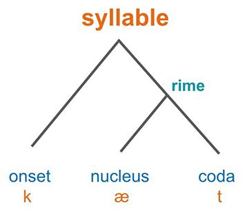 pronunciation - How are words divided to into syllables (consonant clusters)? - English Language ...