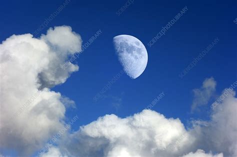 Daytime Moon - Stock Image - C049/9277 - Science Photo Library