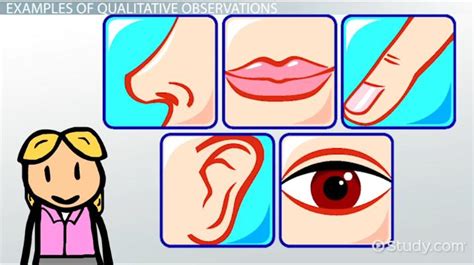 Qualitative observation definition - whonipod