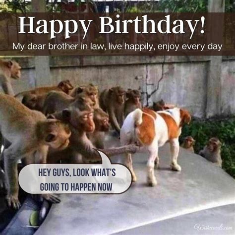 Happy Birthday for Brother in Law Images and Funny Cards