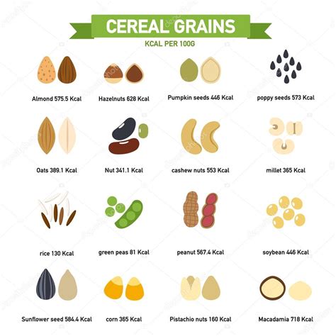 Kilocalorie in cereal grains per100 gram infographics.vector — Stock ...