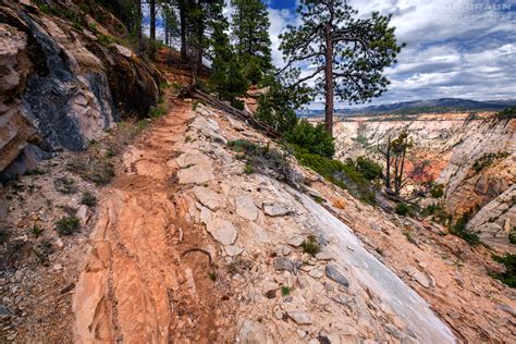 West Rim Trail (Bottom-Up Day Hike) Photos (Page 4) - Joe's Guide to ...