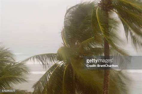 Gale Force Winds Photos and Premium High Res Pictures - Getty Images