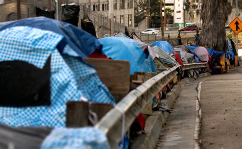 LA homeless crisis grows despite political promises, speeches — and ...