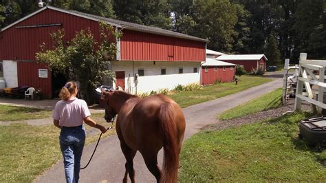 Wright Horse Farm