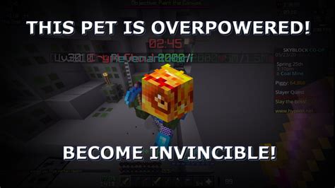 Best Pets For Beginners Hypixel Skyblock Is Skeleton The Best Beginner Pet!?