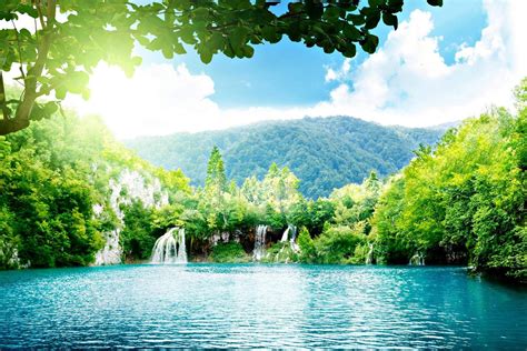 Beautiful Greenery of Real Nature Scene Wallpaper Free Download | Beautiful scenery wallpaper ...