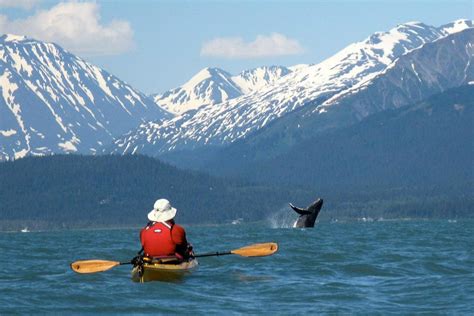 Experience #1 Kayaking Spot in the World: Kenai Fjords NP