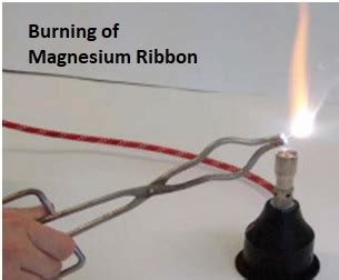 Burning of Magnesium Ribbon in Air – Society for Promotion for Science ...