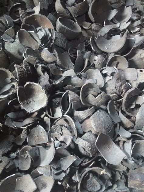 Coconut Shell Charcoal - Charcoal Made From Coconut Shells Latest Price, Manufacturers & Suppliers