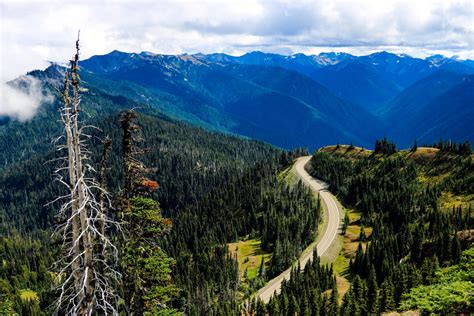 Plan your trip to Olympic National Park - Roadtrippers