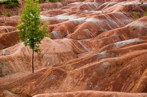 The Cheltenham Badlands are set to reopen this summer