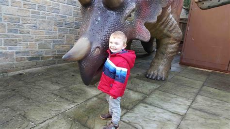 A Day Out in Dorset: Dinosaur Museum Dorchester - KidRated