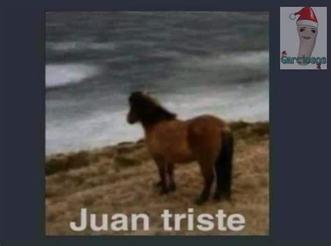 Pin de Juan Chiu en memes | Memes divertidos, Memes cómicos, Imágenes ...