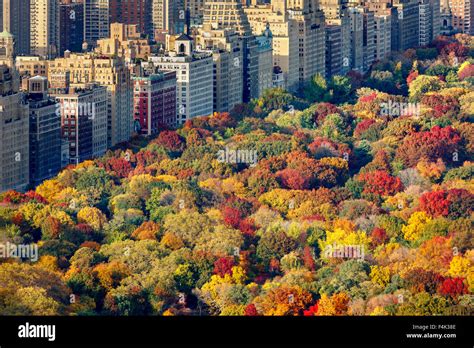 Aerial view of brilliant fall colors of Central Park West foliage in late afternoon. Upper West ...