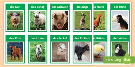 Farm Animals and Their Young Flashcards German - Twinkl