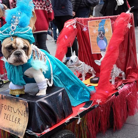 Halloween Dog Costume Contest - Washington Square Park