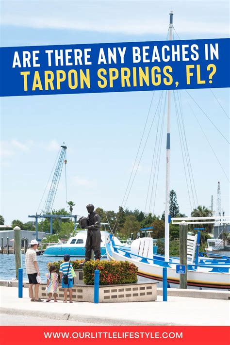 Are There Beaches in Tarpon Springs, Florida?