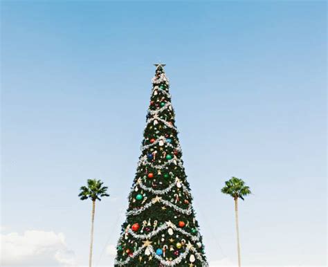 How to celebrate Christmas in the Southern Hemisphere (and why everyone should experience it ...