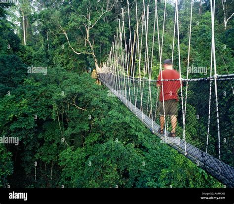 Kakum National Park Canopy Walk