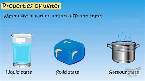 Properties of Water For Kids | Science | Tutway - YouTube