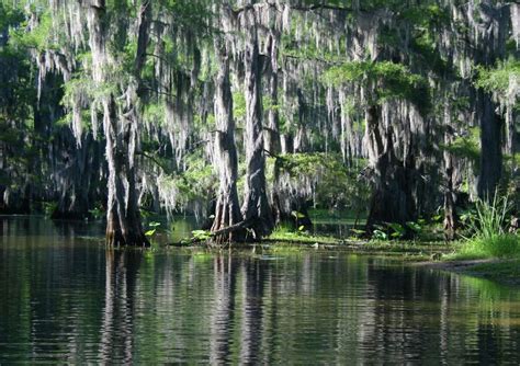 On the Texas-Louisiana border, Caddo Lake’s history is the stuff of legend