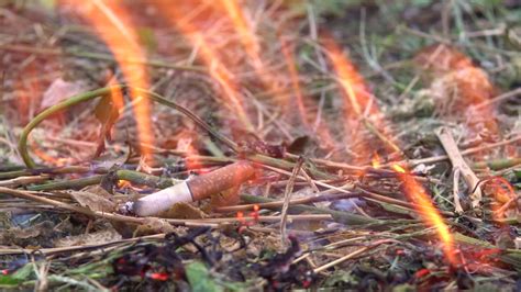 thrown cigarette set fire grass man Stock Footage Video (100% Royalty-free) 1035817943 ...