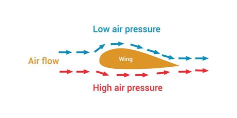 Bernoulli's Principle Experiment Buy Prices | www.pinnaxis.com